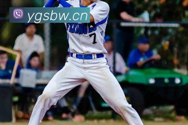 开云在线官网登录APP 封面图